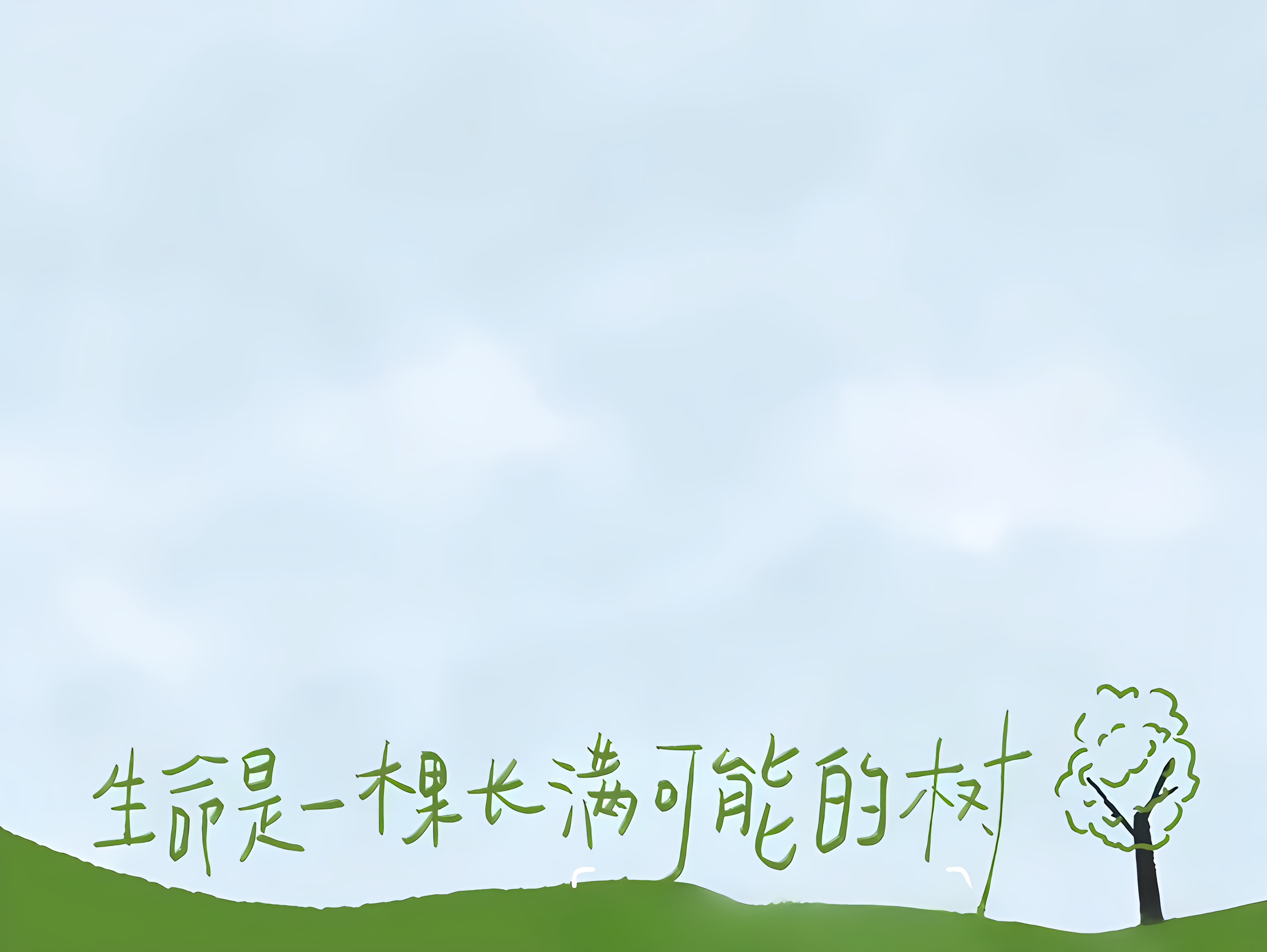 实践照片